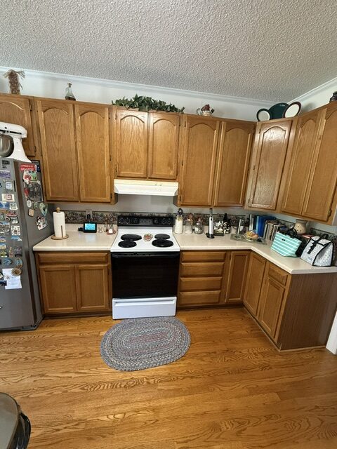Kitchen range area before remodeling with oak cabinets and an older electric stove